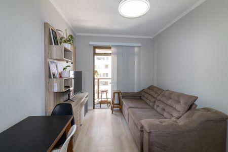 Sala de apartamento para alugar com 2 quartos, 58m² em Cambuí, Campinas