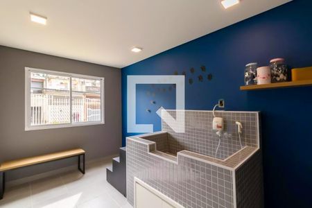 Apartamento para alugar com 35m², 2 quartos e sem vaga Apartamento para alugar com 35m², 2 quartos e sem vagaPet Care