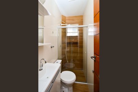 Banheiro Social de apartamento para alugar com 2 quartos, 48m² em Palmares, Belo Horizonte