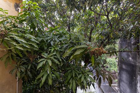 Casa 1 - Vista Suíte de casa à venda com 5 quartos, 135m² em Vila Buenos Aires, São Paulo