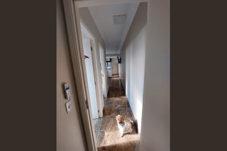 Apartamento à venda com 2 quartos, 95m² em Havaí, Belo Horizonte