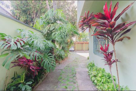 Casa para alugar com 315m², 3 quartos e 5 vagasJardim