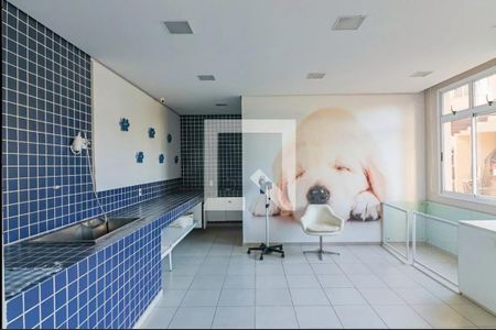 Apartamento para alugar com 77m², 3 quartos e 1 vaga Apartamento para alugar com 77m², 3 quartos e 1 vagaÁrea comum - Área pet