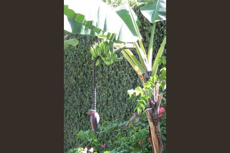 Casa à venda com 461m², 4 quartos e 1 vaga