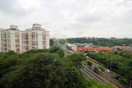 Vista do Quarto de apartamento para alugar com 1 quarto, 55m² em Cavalhada, Porto Alegre