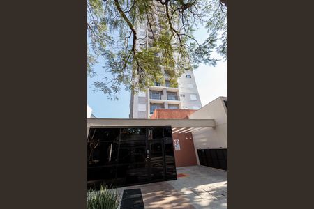Apartamento para alugar com 36m², 2 quartos e sem vaga Apartamento para alugar com 36m², 2 quartos e sem vagaFachada