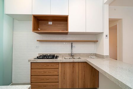 Apartamento para alugar com 45m², 2 quartos e 1 vagaCozinha