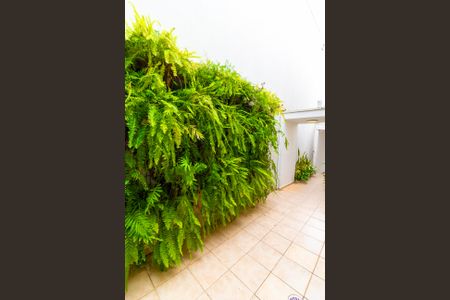 Casa de condomínio para alugar com 152m², 3 quartos e 2 vagas Casa de condomínio para alugar com 152m², 3 quartos e 2 vagasQuintal