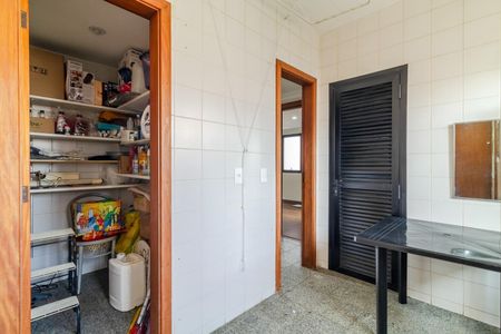 Apartamento à venda com 244m², 4 quartos e 4 vagasLavanderia