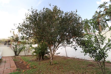 Casa para alugar com 400m², 5 quartos e 8 vagasQuintal