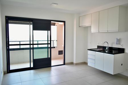 Sala/Cozinha de apartamento para alugar com 1 quarto, 37m² em Vila da Saúde, São Paulo