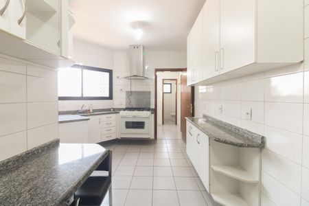 Apartamento para alugar com 114m², 3 quartos e 3 vagasCozinha 