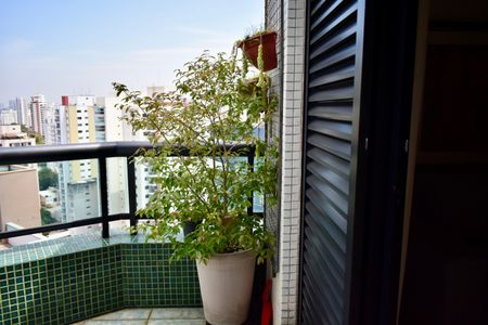 Apartamento para alugar com 230m², 3 quartos e 4 vagas Apartamento para alugar com 230m², 3 quartos e 4 vagasSuíte 3