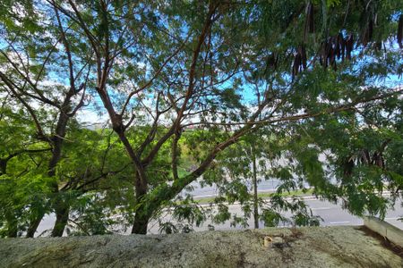 Casa para alugar com 495m², 5 quartos e 7 vagasVista - Sala