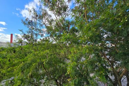 Casa para alugar com 495m², 5 quartos e 7 vagasVista - Suíte 2