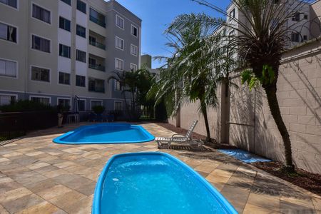 Área Comum - Piscina de apartamento para alugar com 3 quartos, 52m² em Campo Limpo, São Paulo