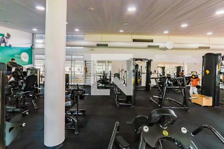 Apartamento para alugar com 134m², 4 quartos e 2 vagas Apartamento para alugar com 134m², 4 quartos e 2 vagasÁrea comum - Academia