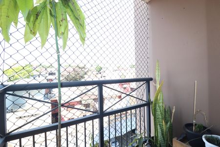 Varanda da Sala de apartamento à venda com 3 quartos, 61m² em Jardim Cambui, Santo André