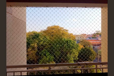 Apartamento à venda com 3 quartos, 80m² em Jardim Nova Europa, Campinas