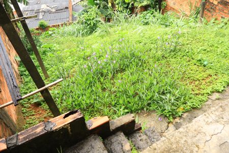 Casa para alugar com 75m², 2 quartos e sem vagaQuintal