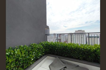 Studio para alugar com 27m², 1 quarto e sem vagaTerraço