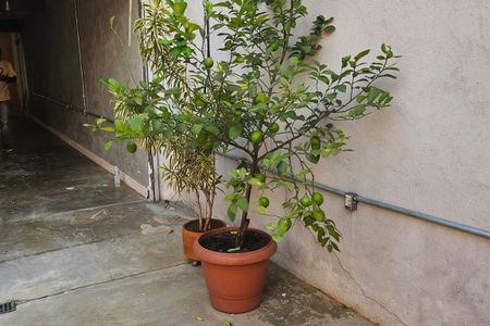 Casa à venda com 3 quartos, 200m² em Pinheiros, São Paulo