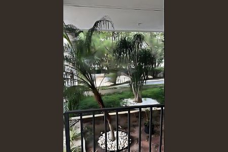 Apartamento à venda com 3 quartos, 71m² em Jardim Londrina, São Paulo