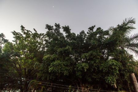 Vista do Quarto de casa para alugar com 1 quarto, 50m² em Parque Jandaia, Carapicuíba