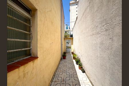 Casa à venda com 300m², 3 quartos e 2 vagasQuintal