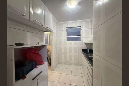 Cozinha de apartamento para alugar com 2 quartos, 50m² em Itatiaia, Belo Horizonte