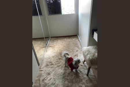 Apartamento à venda com 3 quartos, 75m² em Venda Nova, Belo Horizonte