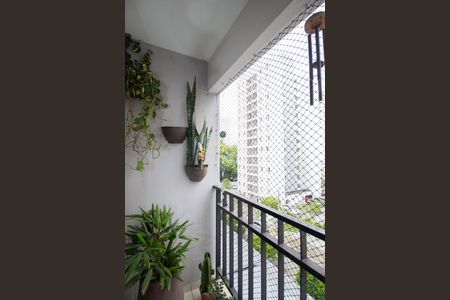Varanda da Sala de apartamento à venda com 2 quartos, 58m² em Jardim Iris, São Paulo