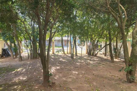 Vista da Sala de apartamento à venda com 3 quartos, 63m² em Aberta dos Morros, Porto Alegre