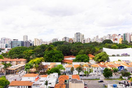 Apartamento para alugar com 244m², 4 quartos e 4 vagasVista 