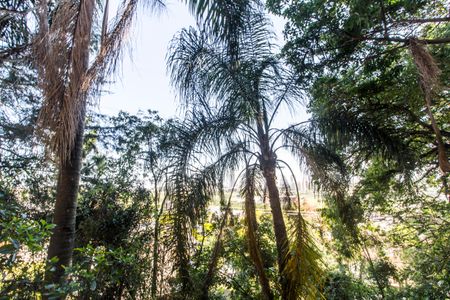 Casa de condomínio à venda com 645m², 4 quartos e 3 vagasQuintal