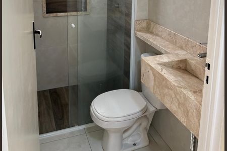 Banheiro de apartamento para alugar com 2 quartos, 47m² em Loteamento Parque Centenario, Campinas