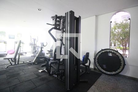 Apartamento à venda com 72m², 2 quartos e 1 vaga Apartamento à venda com 72m², 2 quartos e 1 vagaÁrea comum - Academia