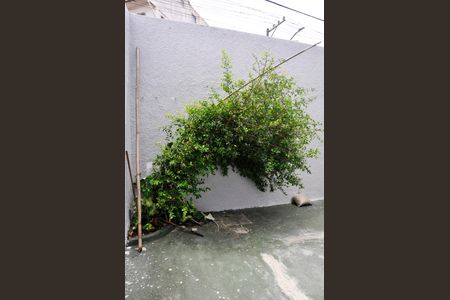 Casa à venda com 110m², 3 quartos e 3 vagasGaragem