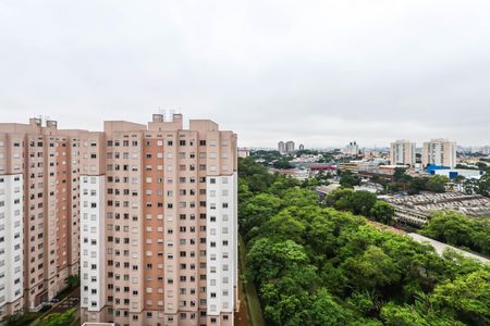 Apartamento para alugar com 40m², 2 quartos e sem vaga Apartamento para alugar com 40m², 2 quartos e sem vagaCozinha