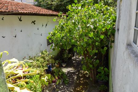 Casa à venda com 300m², 2 quartos e 2 vagasQuintal