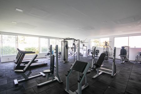 Apartamento à venda com 65m², 3 quartos e 1 vaga Apartamento à venda com 65m², 3 quartos e 1 vagaÁrea comum - Academia