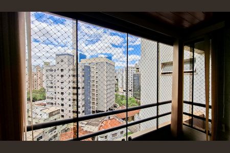 Sala de apartamento para alugar com 3 quartos, 115m² em Lourdes, Belo Horizonte