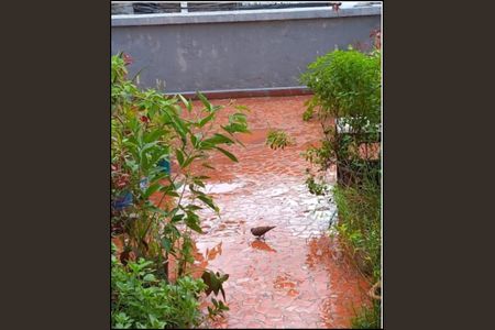 Apartamento à venda com 1 quarto, 65m² em Bela Vista, São Paulo