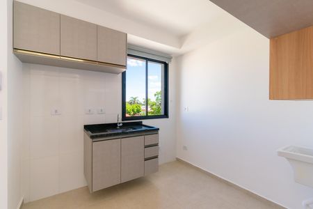 Apartamento para alugar com 35m², 2 quartos e sem vagaCozinha
