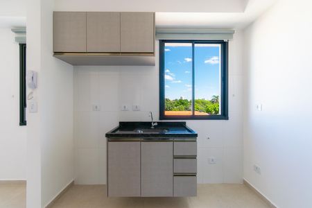 Apartamento para alugar com 35m², 2 quartos e sem vagaCozinha