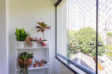 Varanda da Sala de apartamento à venda com 3 quartos, 79m² em Vila Hamburguesa, São Paulo