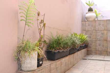 Casa de condomínio para alugar com 280m², 3 quartos e 3 vagasÁrea comum