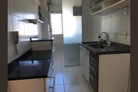 Foto 11 de apartamento à venda com 3 quartos, 74m² em Chácara Primavera, Campinas