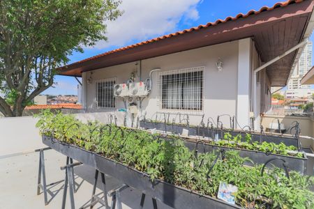 Casa à venda com 250m², 3 quartos e 3 vagasHorta