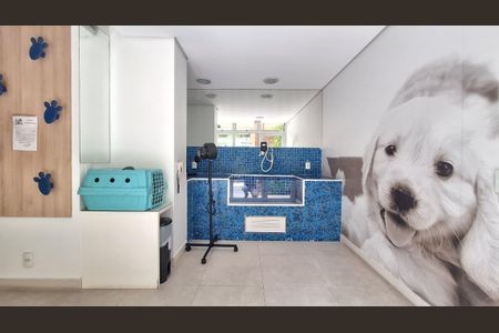 Apartamento à venda com 61m², 2 quartos e 2 vagassalao pet